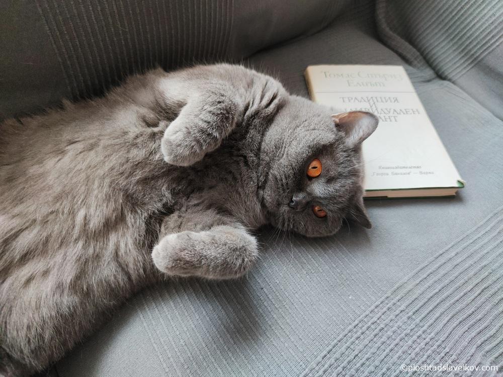 Снимка: Площад Славейков - Топ 10 на Книжен център „Гринуич“